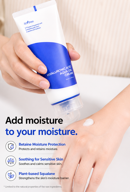 Isntree Hyaluronic Acid Aqua Gel Cream 100ml