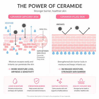 Tony Moly Wonder Ceramide Mochi Moisture Cream 300ml