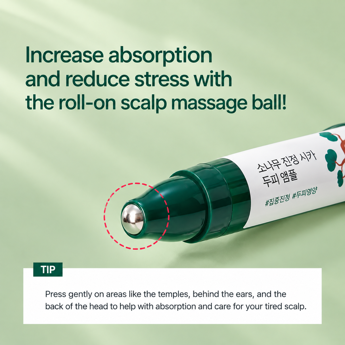 Round Lab Pine Soothing Cica Scalp Ampoule 15ml